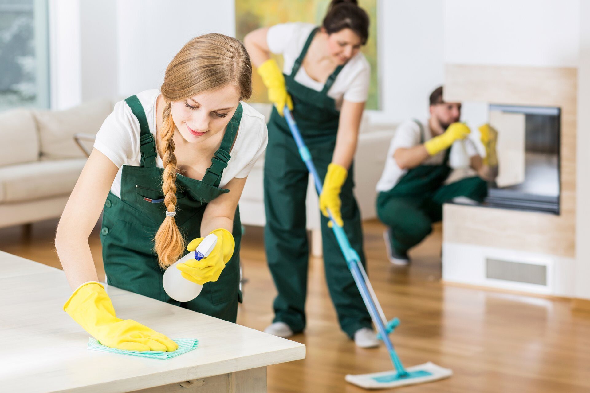 Exemplary House Cleaning and Maintenance Services by Insightful Solutions